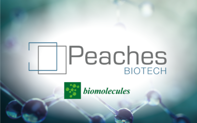 Peaches Biotech deciphers communication language between immune cells and other tissues