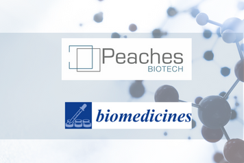 Peaches Biotech publica resultados positivos “in vivo“  de su medicamento PRS CK STORM
